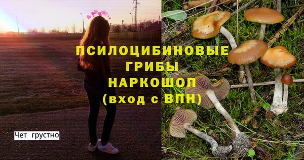 гашишное масло Каменка